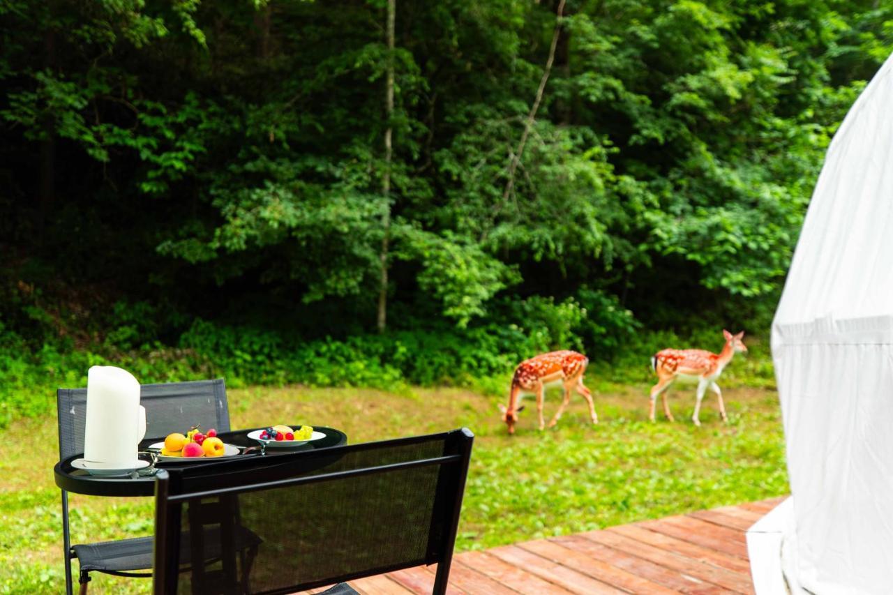 Solace Glamping 2 Sevierville Exterior photo